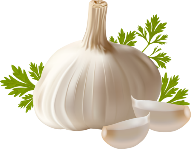 garlic