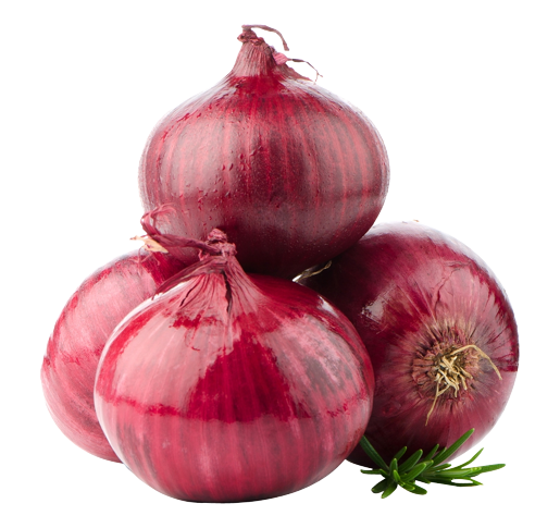 Onion