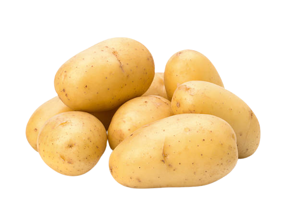 Potato